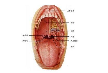 如何自查舌癌？中医药如何防治舌癌？