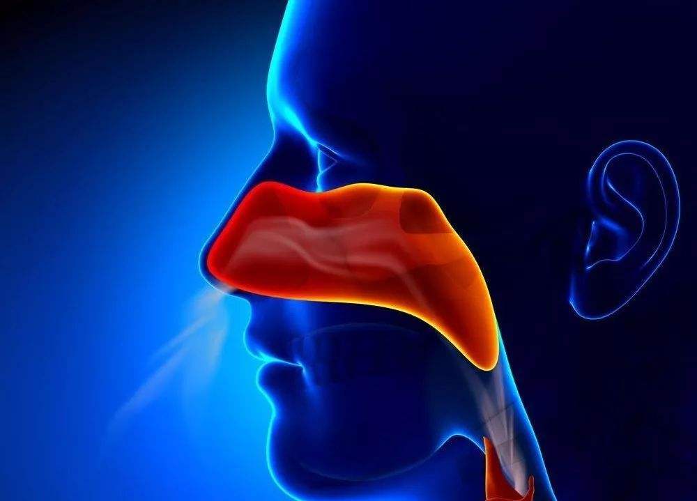 莫名的耳鸣是什么原因？可能是鼻咽癌发出的早期信号